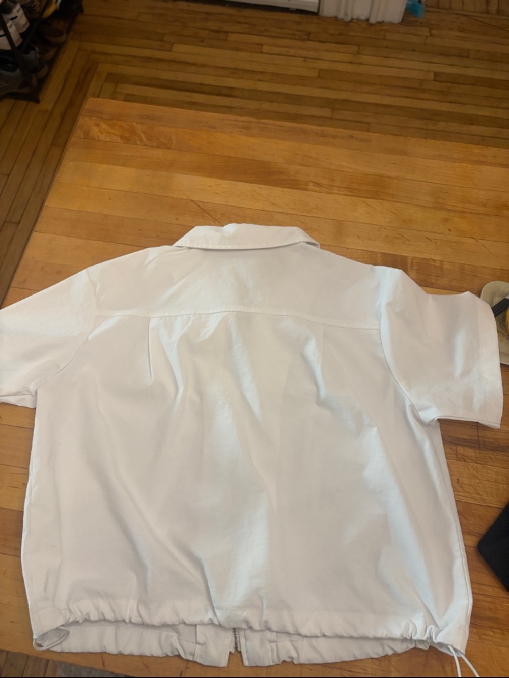 Collared Crop Tee - Picture 4 of 4